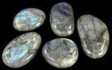 Lbs - Polished Labradorite (Wholesale Lot) - Pieces #61961-1